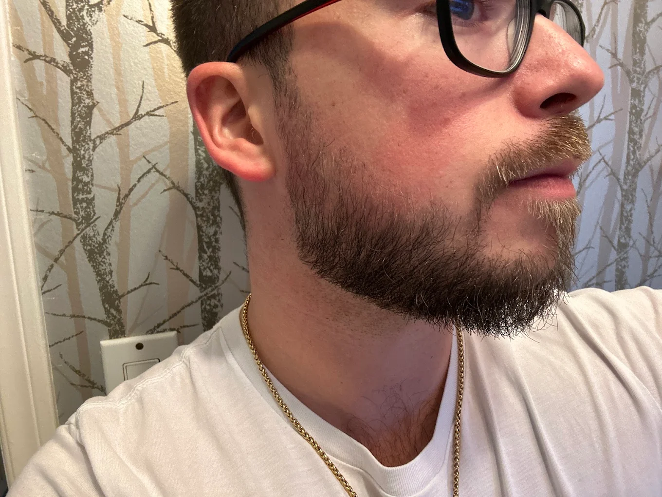 Détail de barbe taillée